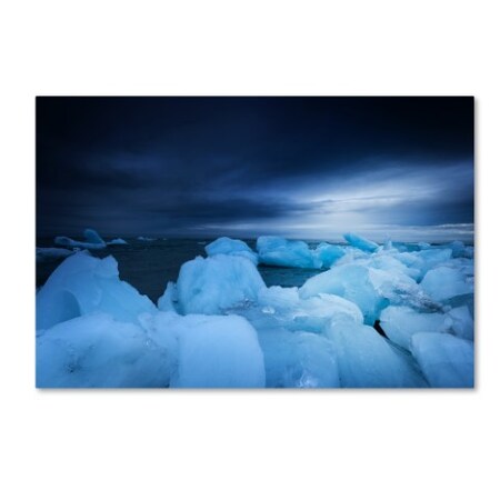 Trademark Fine Art Philippe Sainte-Laudy 'Blue Monday' Canvas Art, 16x24 PSL0632-C1624GG